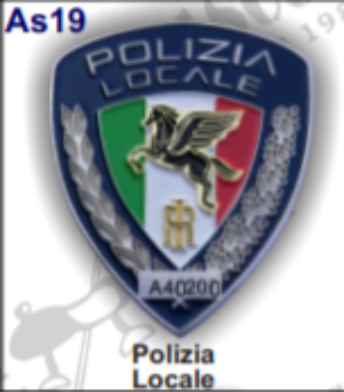 placca-numerata-polizia-locale.png