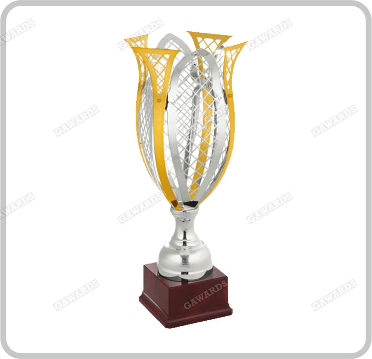 PATKAW 1 coppa trofeo, premi e trofei trofei trofeo di calcio trofeo trofeo  premi premi per adulti bambini, 8 x 8 x 24,5 cm : : Sport e tempo  libero